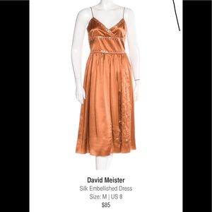 Silk Embellished Dress